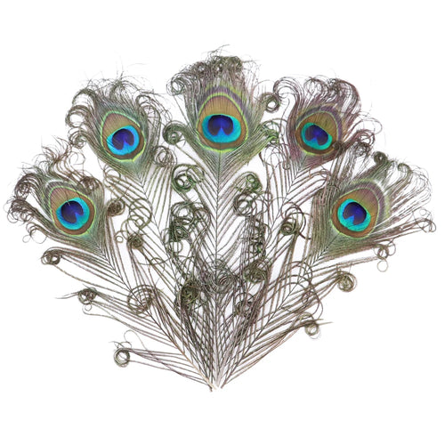 10/20/50PCS Penas Naturais de Pavão com Olhos Grandes 25-30CM 30-35CM 40-50CM Plumas para Decoração de Casamento, Casa, Hotel, Vaso e Artesanato DIY