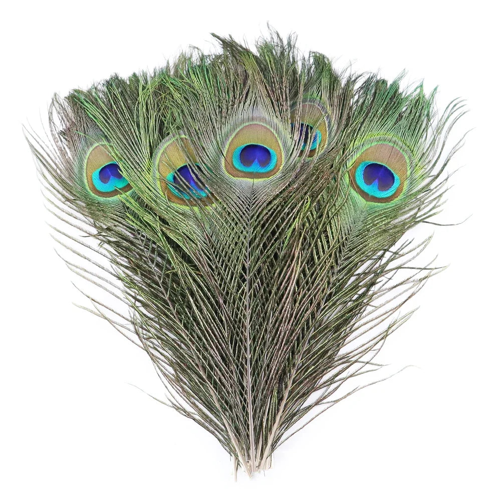 Penas Naturais de Pavão com Olhos Grandes