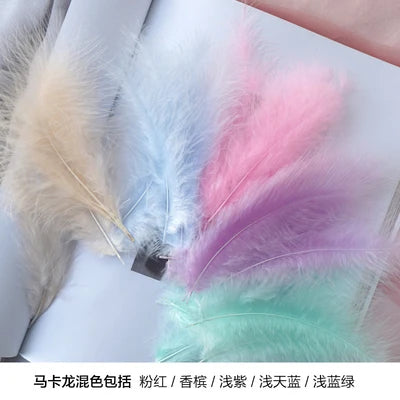 Penas Naturais de Faisão Coloridas 8–15 cm – 50 Unidades