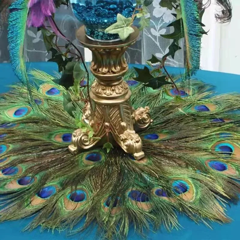 Penas Naturais de Pavão