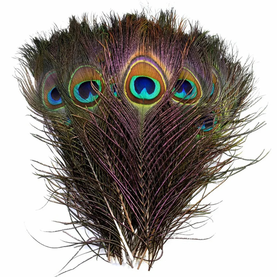 Penas Naturais de Pavão para Carnaval e Artesanato – 10 ou 20 Unidades