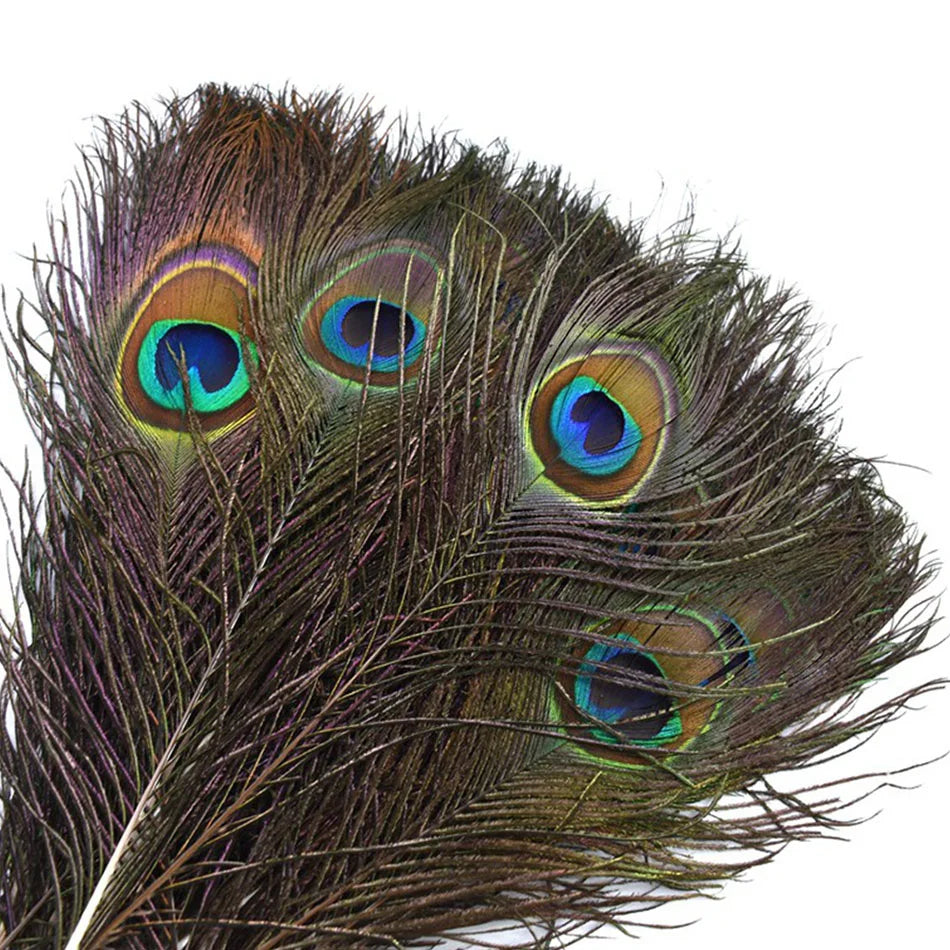Penas Naturais de Pavão para Carnaval e Artesanato – 10 ou 20 Unidades