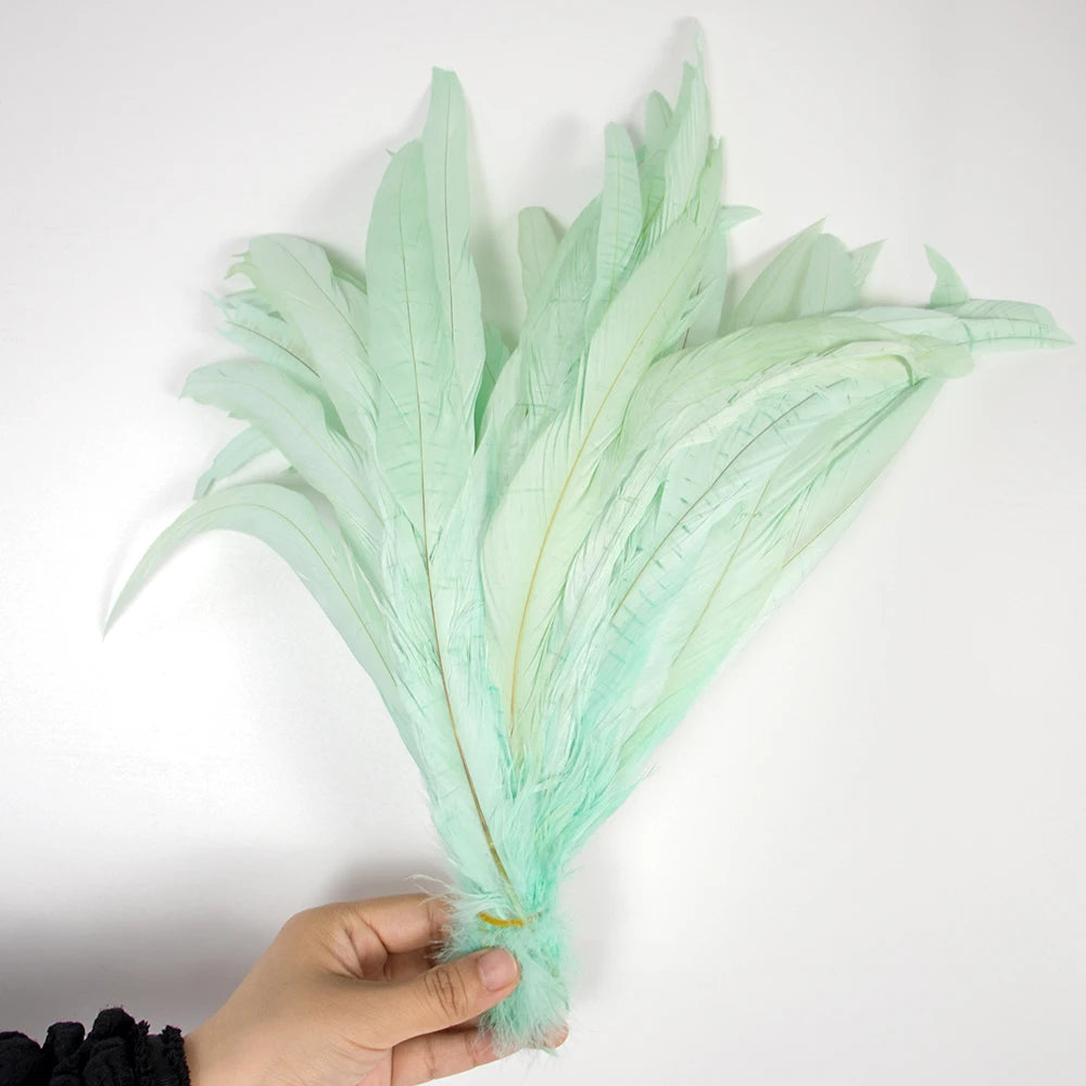Plumas Naturais de Cauda de Galo 100 Peças