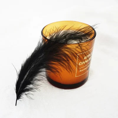 Penas Naturais de Faisão Coloridas 8–15 cm – 50 Unidades