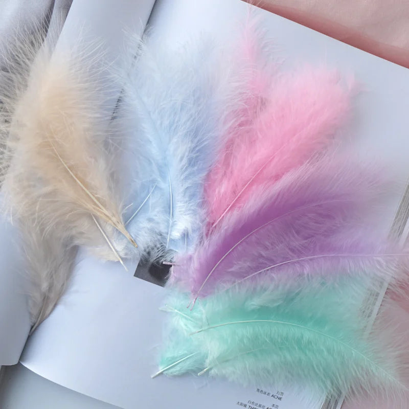 Penas Naturais de Faisão Coloridas 8–15 cm – 50 Unidades