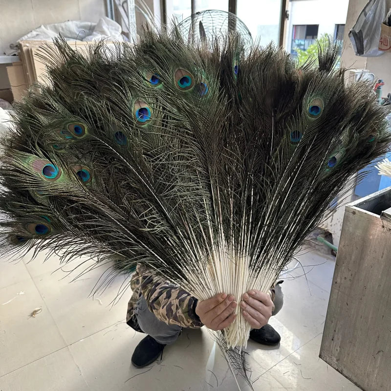Penas Naturais de Pavão