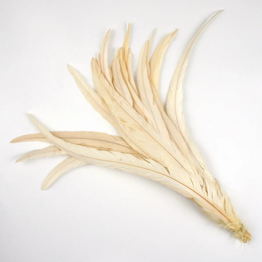Plumas Naturais de Cauda de Galo 100 Peças