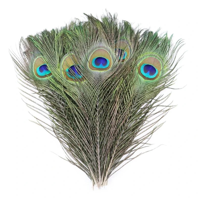 Penas Naturais de Pavão