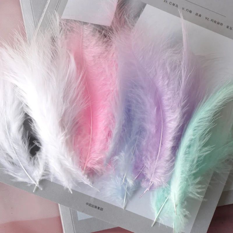 Penas Naturais de Faisão Coloridas 8–15 cm – 50 Unidades